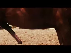Asiático menina com grande watermelon wakes cara com vidio pornor cazeiro língua